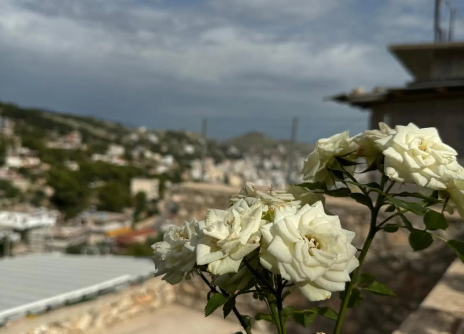 Geni Villa Sarande 0*,
